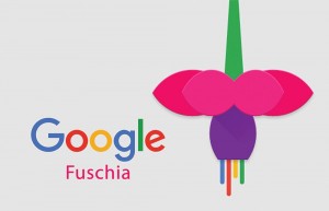 Google Fuschia